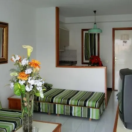 Vista Oasis 2*